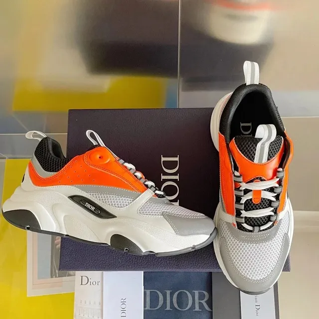 Dior B22 Orange Grey