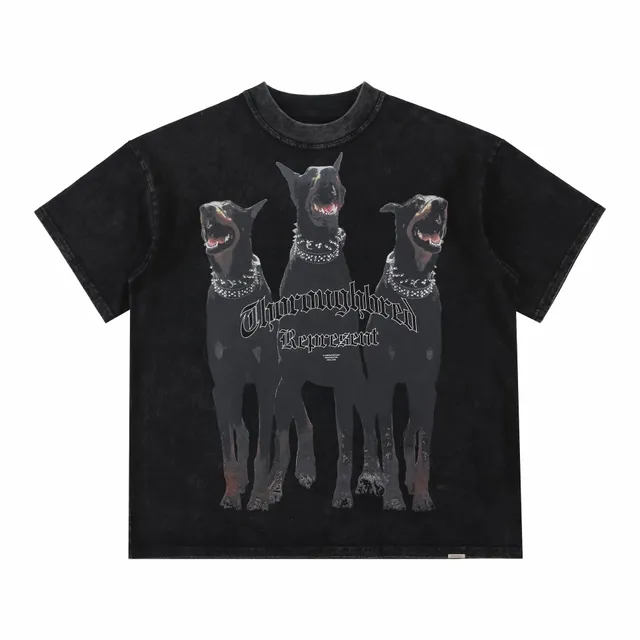 杜宾犬 黑色