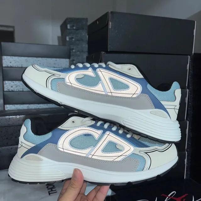 Dior B30 Reflective CD