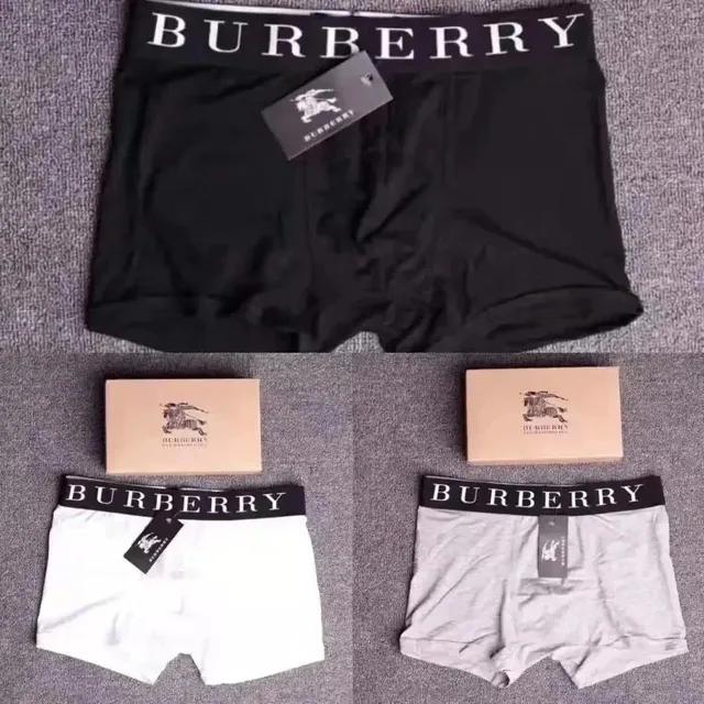 Burberry Boxer Briefs Logo Waistband