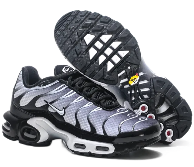 Nike Air Max Plus Metallic Silver