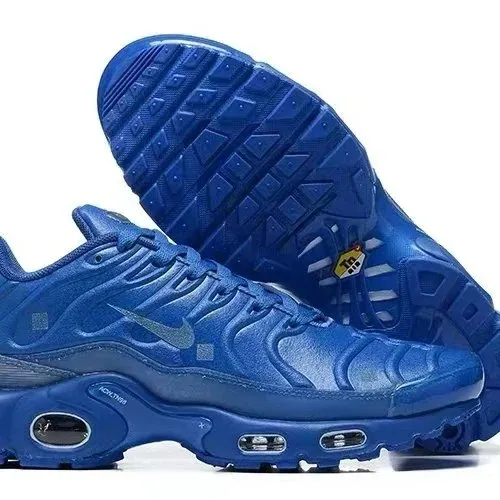 Nike Air Max Plus Royal Blue