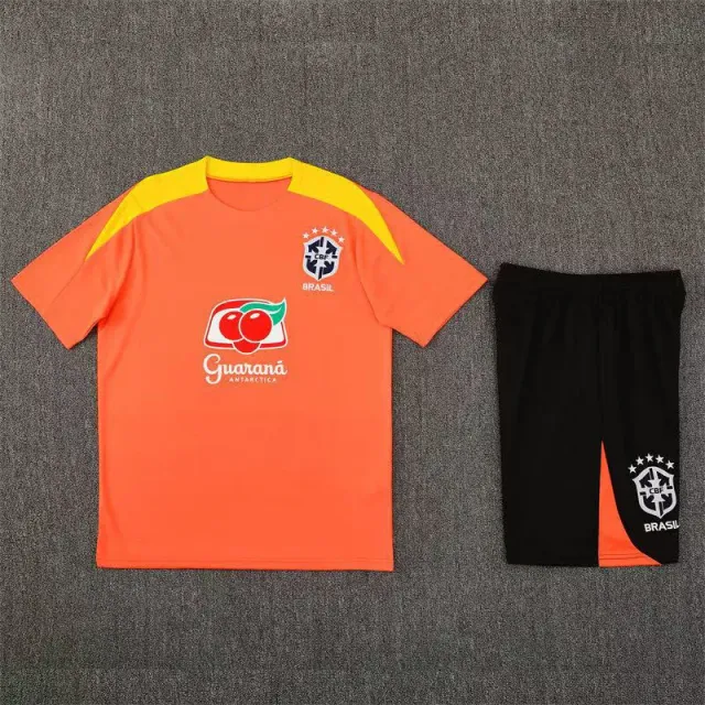 2526巴西浅橙色