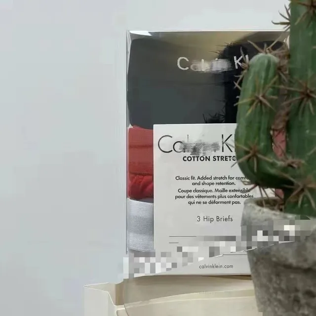 Calvin Klein Hip Briefs 3-Pack