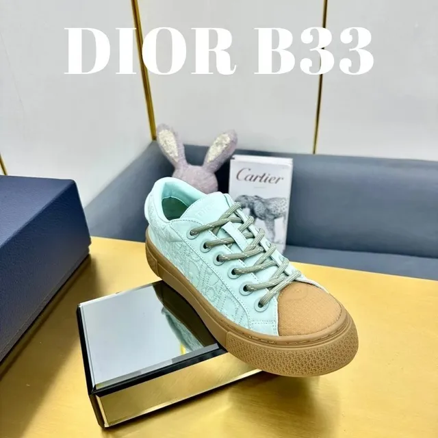 Dior B33