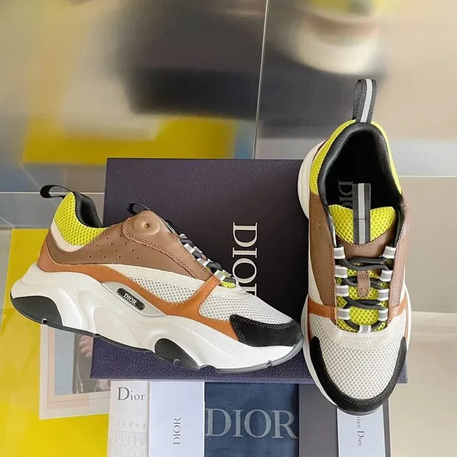Dior B22 Multicolor