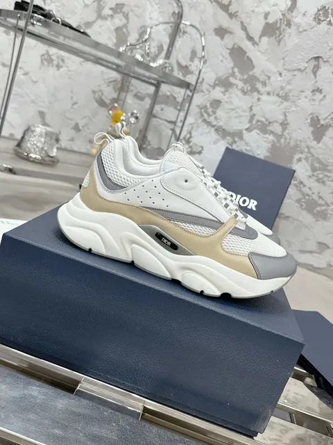 Dior B22 White Beige Grey