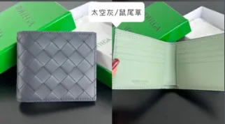 太空灰配鼠尾草绿
