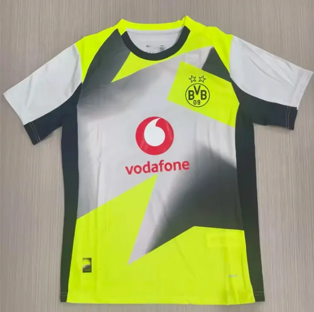 2526 Dortmund away game
