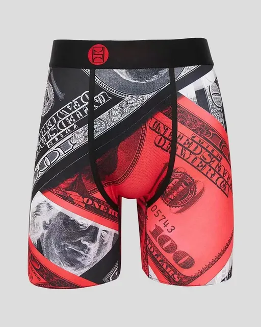 Dickies Boxer Brief Money Print