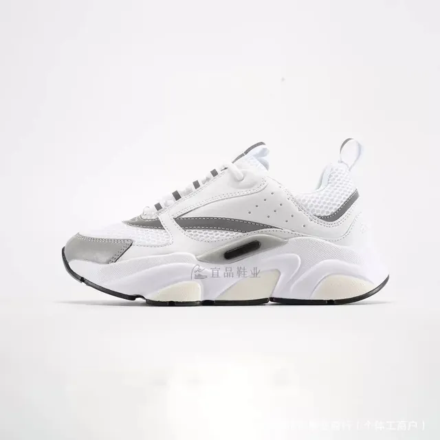 Dior B22 White Grey