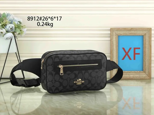 Coach Belt Bag Signature Canvas