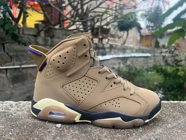 Air Jordan 6 Cigar