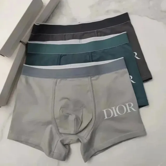 Dior Boxer Briefs Logo Waistband