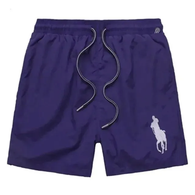 Polo Ralph Lauren Polo Shorts Big Pony