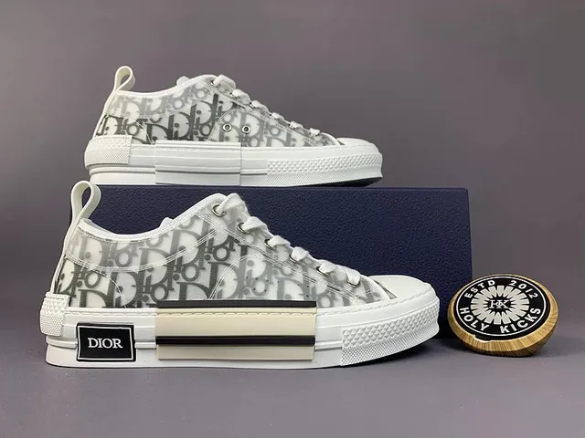 Dior B22 Low Oblique Print
