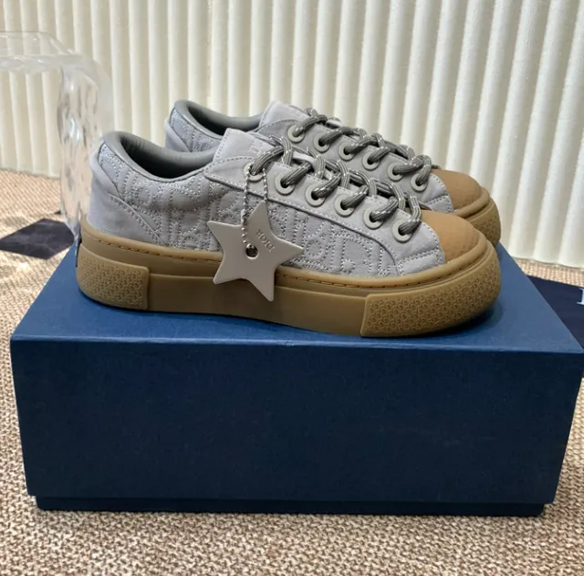 Dior B22