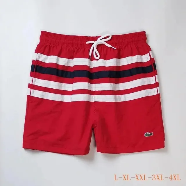 Lacoste Swim Shorts Striped