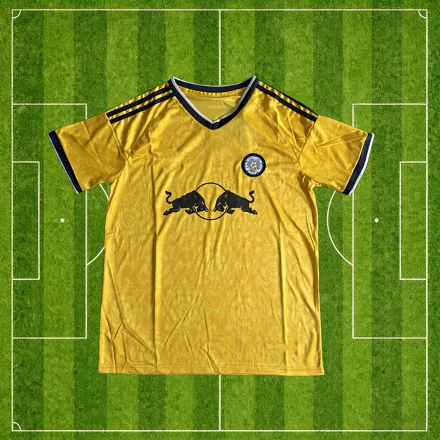 2627 Leeds United away game