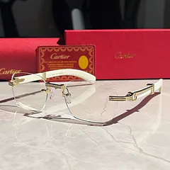 Santos de Cartier Acetate and Gold-Tone Metal