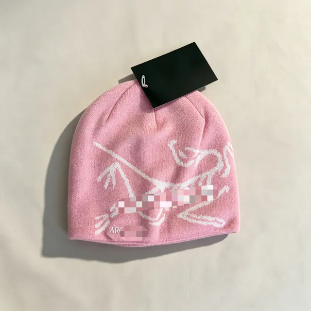 Beanie Arc'teryx Logo