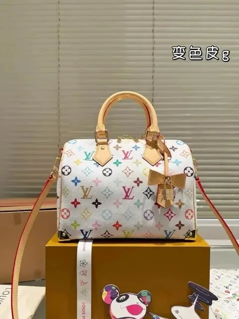 Louis Vuitton Speedy Multicolor Monogram