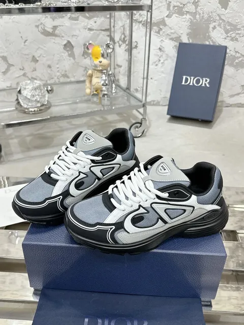 Dior B22 Grey Black White
