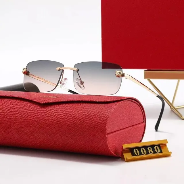 Cartier Sunglasses Panther Temple Detail