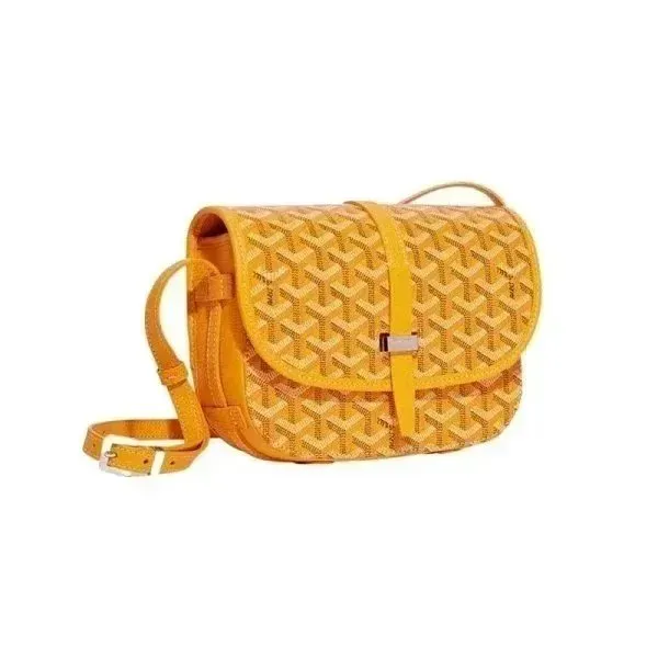 Goyard Saint Louis Monogram Canvas