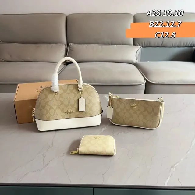 Coach Dome Bag Set