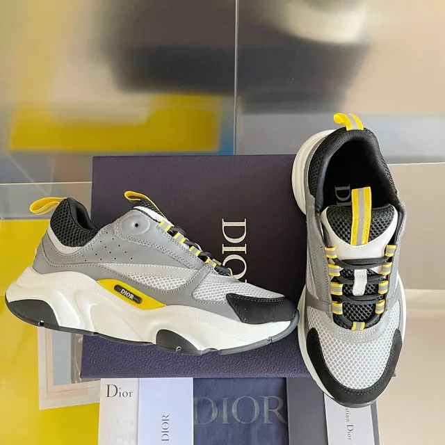 Dior B22 Grey Yellow