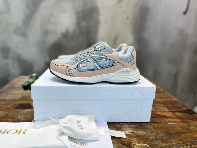 Dior B22 Beige Grey