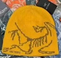 Arc'teryx Beanie Dinosaur Print