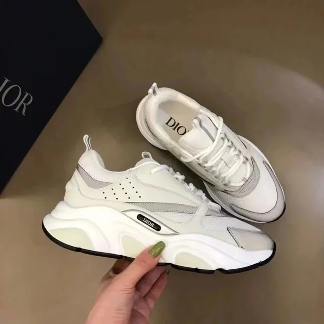 Dior B23 Low White Grey