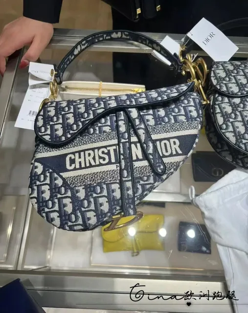 Dior Saddle Bag Oblique Logo Canvas