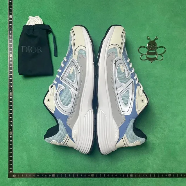 Dior B22 Sneaker Light Blue and White