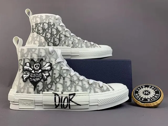 Dior B22 High Oblique Print with Skull Patch