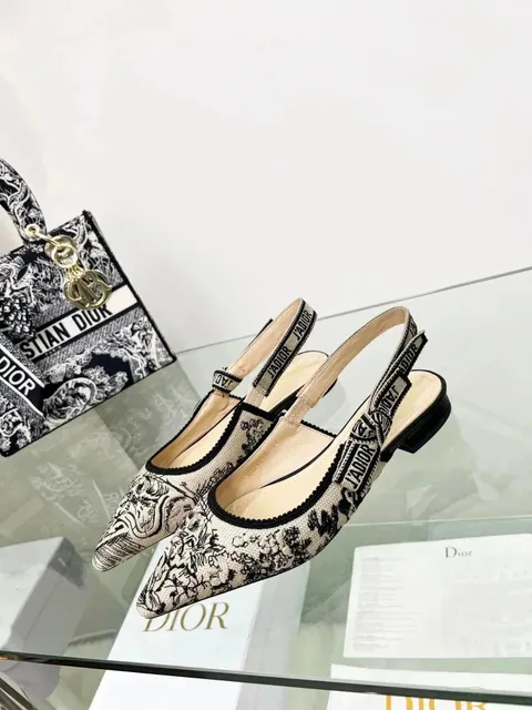 Dior Slingback Oblique Print