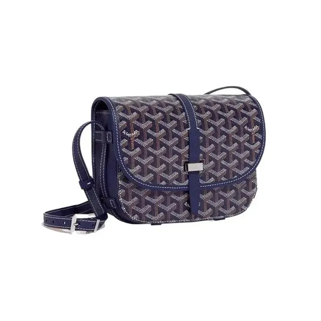 Goyard Saint Louis PM Goyardine Canvas