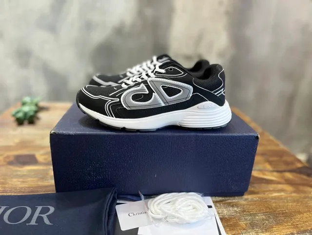Dior B22 Black Grey White