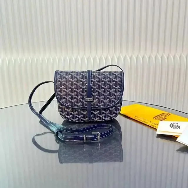 Goyard Saint Louis PM Goyardine Canvas