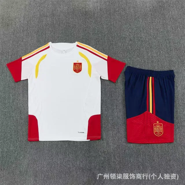 Adidas Spain Home Kit 2010 World Cup
