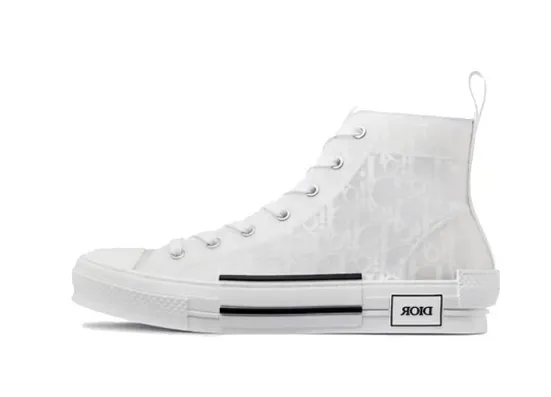 Dior B23 High-Top Oblique Print