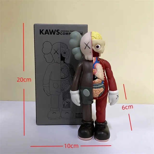 棕色盒装20cm-解剖款