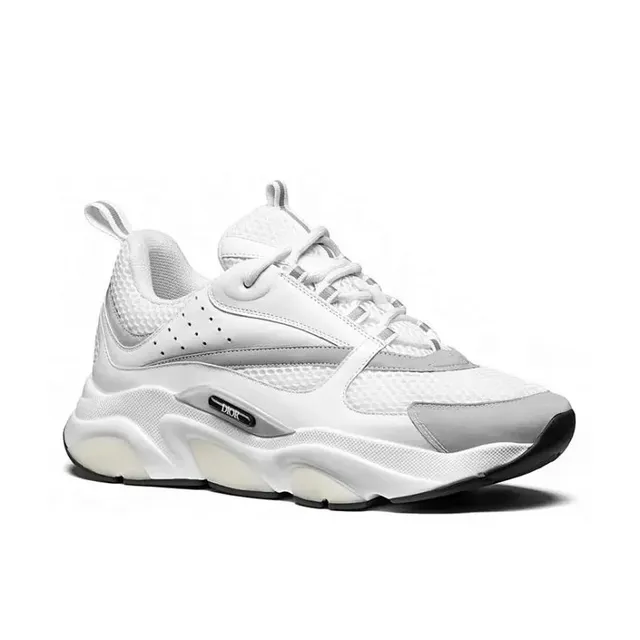 Dior B22 White Grey