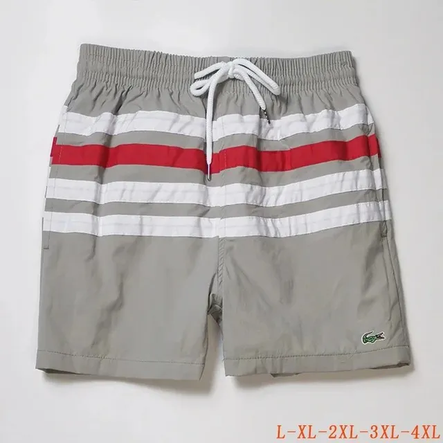 Lacoste Swim Shorts Striped