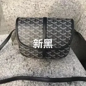 Goyard Saint Louis Monogram Canvas