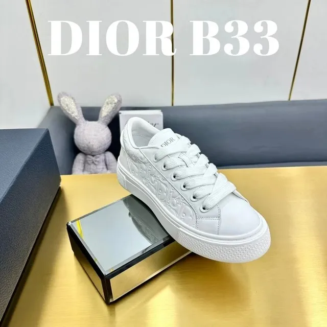 Dior B33