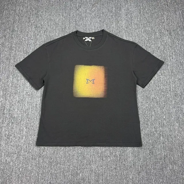 219碳灰