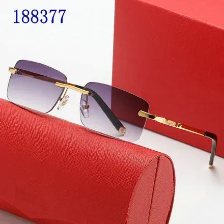 Cartier Sunglasses Gradient Lens